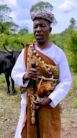 #cattle #fyp #viralvideos 