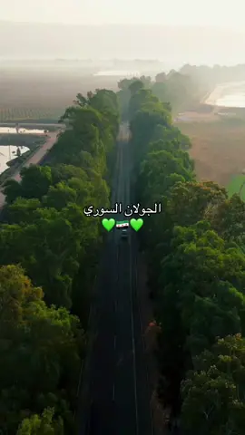 ضيفوني هون @Syriano/سريانو🇸🇾🦅 #سوريا_تركيا_العراق_السعودية_الكويت #fyp #videoviral #foruyou #foryoupage❤️❤️ #سوريا 