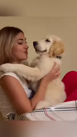 The sudden reaction of a dog being kissed 🥰#Love #foryou #dog #fly #dogsoftiktok #pets #friends #cute 