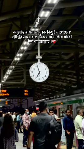 আল্লাহ নসিবে অনেক কিছুই রেখেছেন' প্রাপ্তির সময় হলে ঠিক সময়ে পেয়ে যাবো ইন শা আল্লাহ'!❤️‍🩹#tiktok #fyp #foryou #Tiktok #unfrezzmyaccount #fyp #fypシ゚viral #fypp #tiktokviral #foryoupage❤️ #copylink #fypシ゚viral #unfrezzmyaccount #foryou 