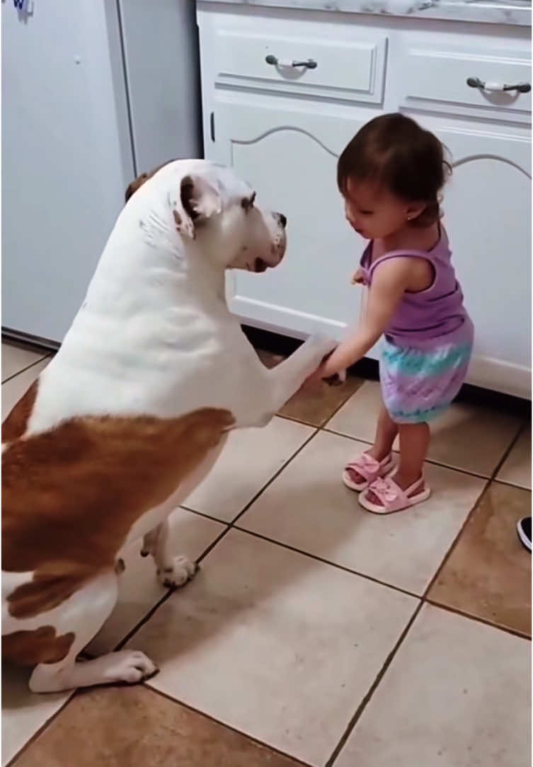 Cute baby and dog❤️❤️❤️#dog #baby #pet #Love #lovestory #bestfriend #cute #dogsoftiktok #foryou #usa🇺🇸 #usatiktok 