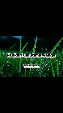 Mfite impamvu #rwandagospel #Praiseempire#for #kenyantiktok🇰🇪 