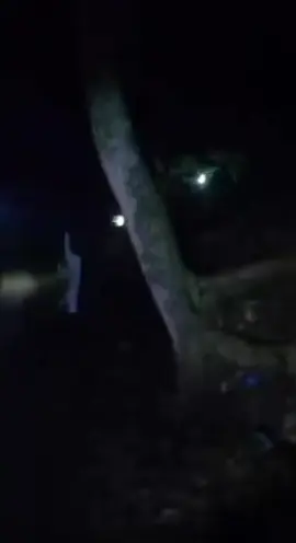 Hasil live malam Jumat kemarin penampakan kuntilanak,yang setuju live lagi komen#penampakan #kuntilanak #horor #serem #malamjumaatkliwon #malamjumaat 