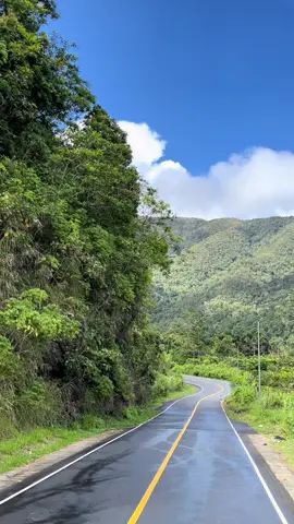 nature heals🍃⛰️ #fyp #nature #foryourpage 