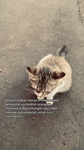 ywloh #fypシ゚viral #abcxyz #keberuntungan #fyppppppppppppppppppppppp 