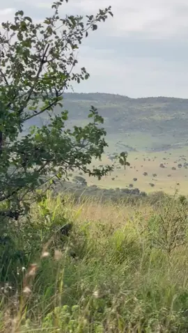 #thebeautymara♥️ #tembeakenya