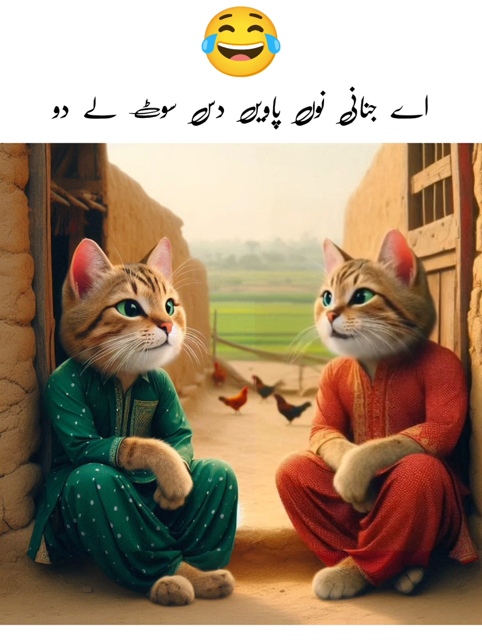 زنانیاں آویں ایں کردیا نے😂@zesho،😁🐈😺#viral #trend #foryou #🤣🤣🤣 