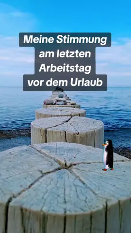 #Meme #MemeCut #CapCut 