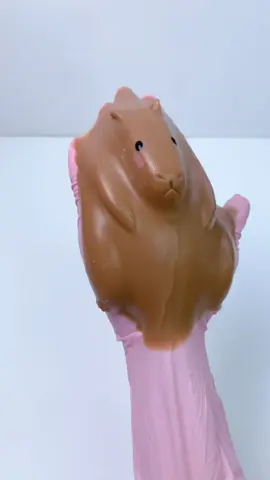 FUFUSQUISHY ASMR 🟤🟤Capybara