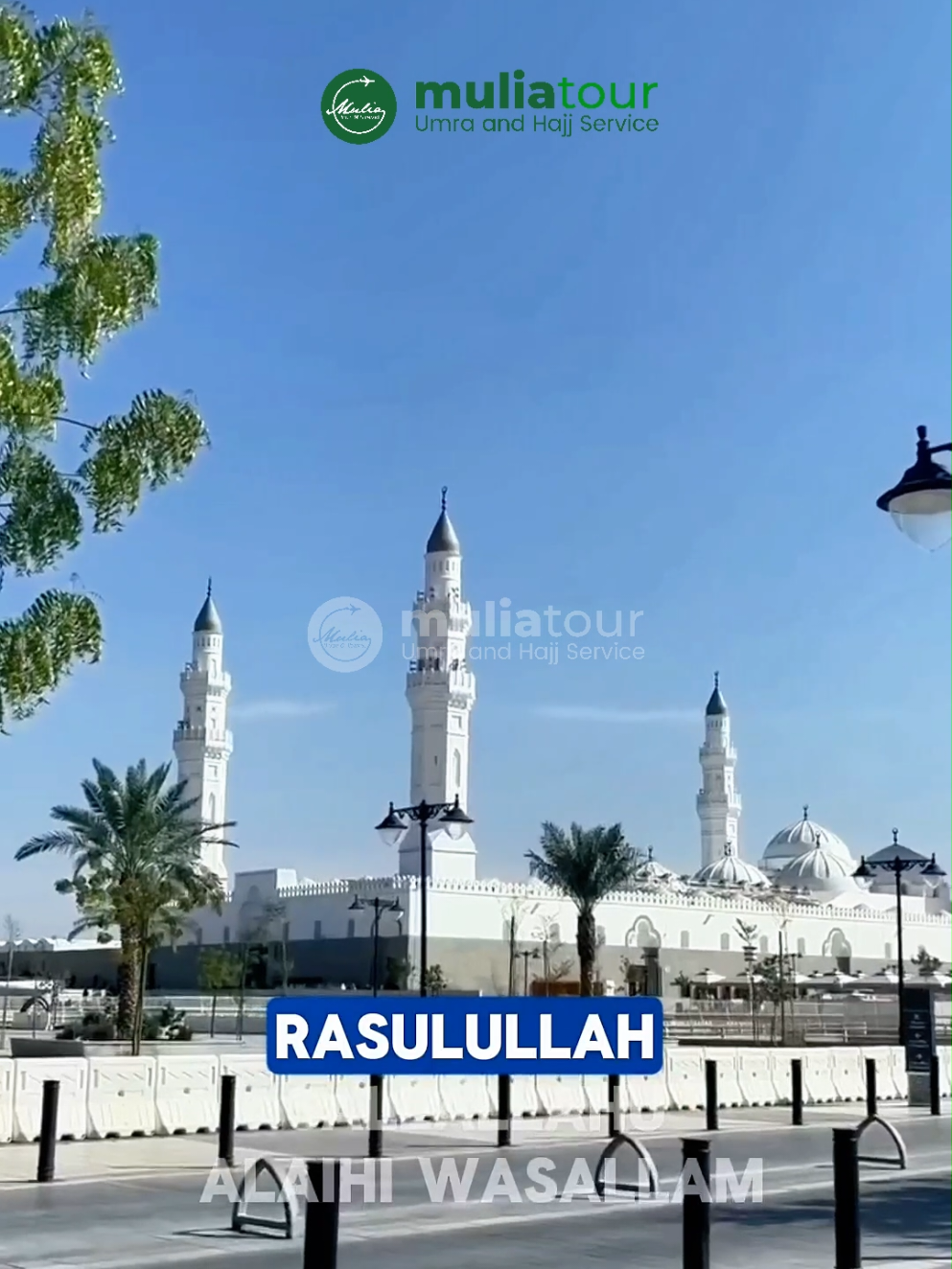 Siapa sangka, di balik kota Madinah yang megah, ada 3 tempat bersejarah yang jadi saksi bisu perjuangan Islam? Setiap sudut Madinah adalah perjalanan waktu, napak tilas perjuangan Islam yang agung. Siap merasakan langsung atmosfer spiritual dan sejarahnya? Tempat mana yang paling bikin kamu penasaran? Komen di bawah! 👇 #Madinah #SejarahIslam #KotaNabi #MasjidNabawi #MasjidQuba #JabalUhud #WisataReligi