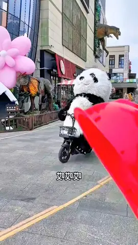 #funnyvideos #funny #funnyanimals #comedyvideo #comdy #lucu #fy #fypシ #foryou #xuhuong 