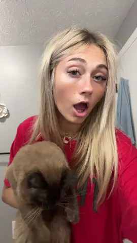 #tired