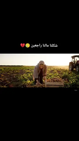 ❤️🪐#شغل_بطاطا_اضنه🥔 #بغحات_اضنه 