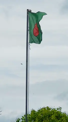 #nanuofficial1 #fyp #bdofficialtiktok #bangladesh #aushkandi #nobigonj  