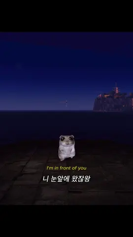 로꼬 . 펀치(Punch) - SAY YES  상대방이 너한테 조아라고 했으면 하는 거 있어?? 있으면 적고가봐 내가 이뤄지게 하트 눌러ㄹ게ㅠ 사랑해 다들🫶🐹 #로꼬 #노래 #갬성노래 #song #햄스터 #mood #playlist #응원해 #추천 #sayyes 