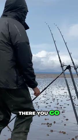 🎣 Chris Stokes lands his FIRST Brean Beach bass of 2025! Kicking off the season in style with a cracking start on the Somerset coast – and we’re just getting warmed up!  💥🌊#BassFishing #BreanBeach #SeaFishingUK #FishingLife #FirstCatch2025 #VealsMailOrder #ShoreFishing #TightLines #UKFishing #FishingSeason 🎣🇬🇧🐟