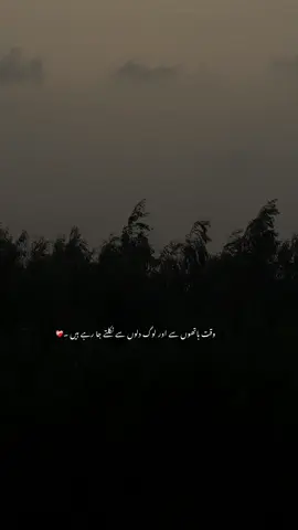 #fyp #poerty #plzunfrezemyaccount 