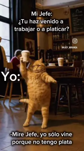 #cat #funny #gato #fypシ #trabajo #parati #bailar #tiktok #gatitobailarin #Cumbia #fyp 
