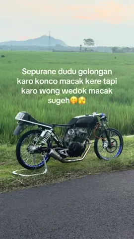 no merex🫢#herextekadjaya #tekadjaya 