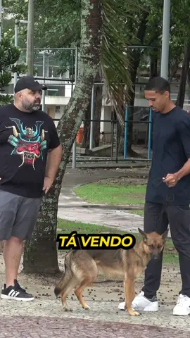 O assaltante roubou o assaltante 😂