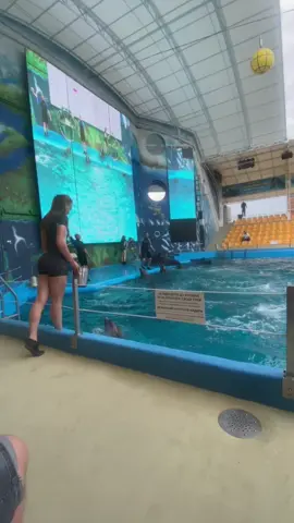 😍🐬🐬