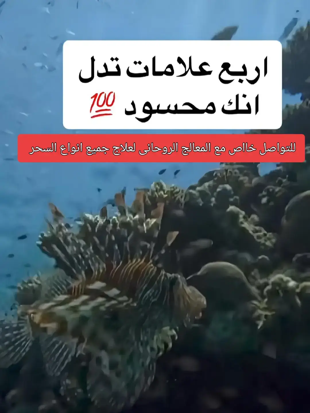 #الرقية_الشرعية_من_الكتاب_والسنة  #الرقية_الشرعية #التابعة_الجن_القرين  #المس_العاشق #العين_الحسد #الشفاء  #علاج_السحر_والمس_بالقرآن_الكريم 