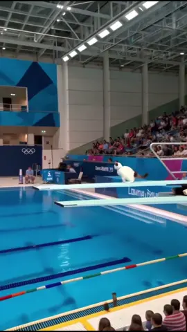 Ai Veo 3 cat Olympic diving contest!! #olympics #catsoftiktok #foryou #fyp #water 