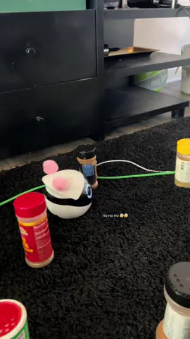This tiny robot has no business being this fun!! 😭🥹 #rola #ebo #petcamera #homecamera #couples #longdistancerelationship 