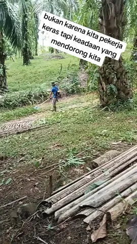 ingat kawan anak dan istri selalu menunggu kepulangan kita di rumah #mesinrumput #kebun  #kebunsawit #potongrumput #basmigulma 