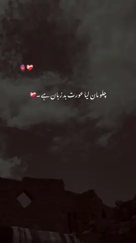 چلو مان لیا عورت بد زبان ہے ۔🥹❤️‍🩹🫀#foryou #viralvideo #aesthetic #poetrystatus #viraltiktok #foryoupage 