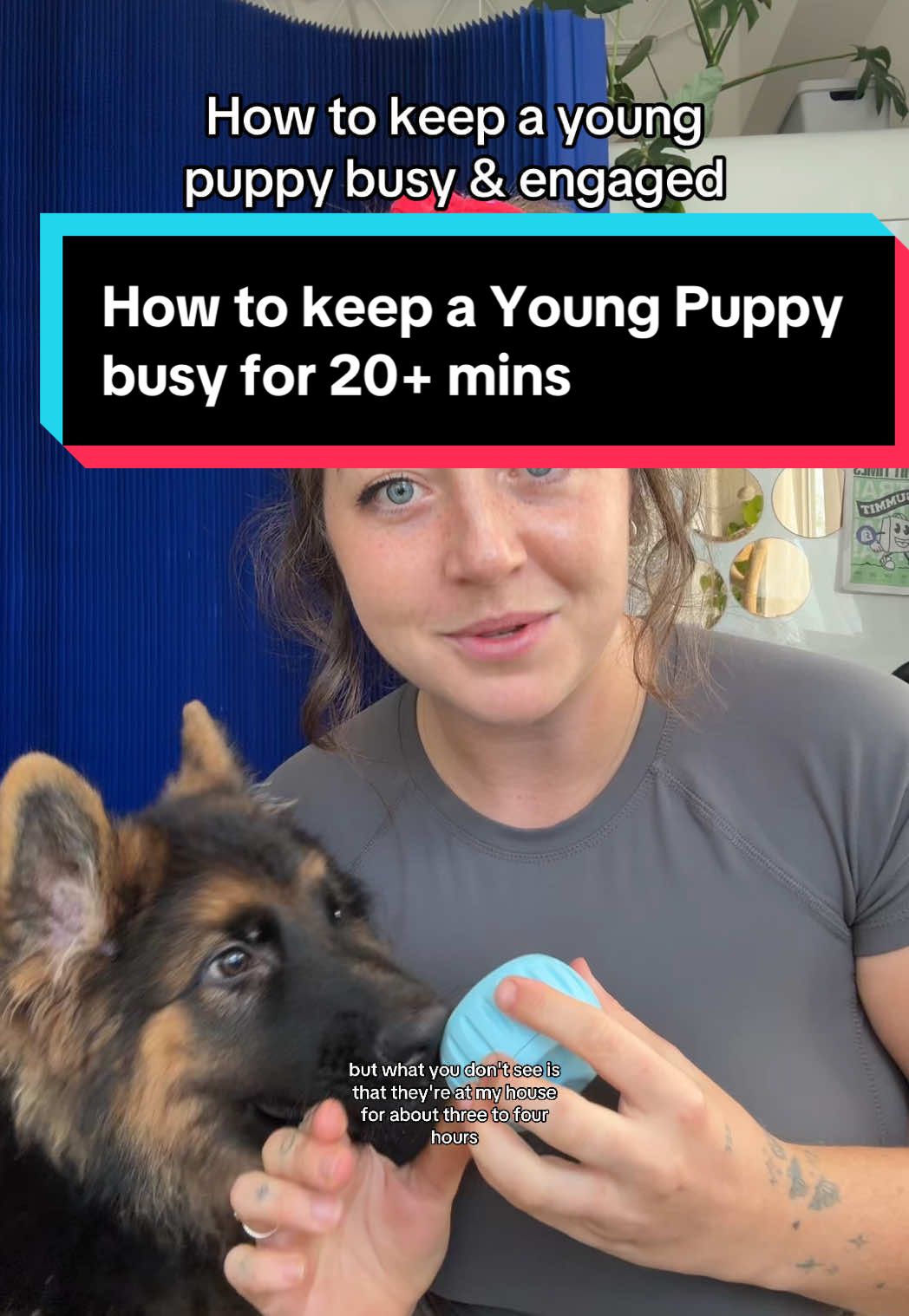 Licking is a calming behavior for dogs - you should use that knowledge to train them! The @Woof Pet pupsicle is perfect for all things training or calming down a dog ❤️🐶 try it & lmk how it goes! #dogtoys #newpuppy #puppytraining101 #diydogtreats 