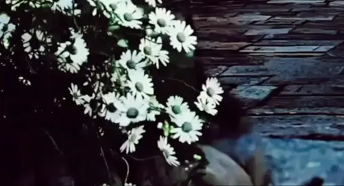 Belke bu gün deyil ama elbet bir gün seninle üz üze geleceyik) ❤️‍🩹