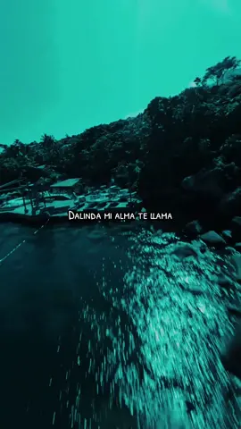 Dalinda - #alexmica #lyrics #musica 