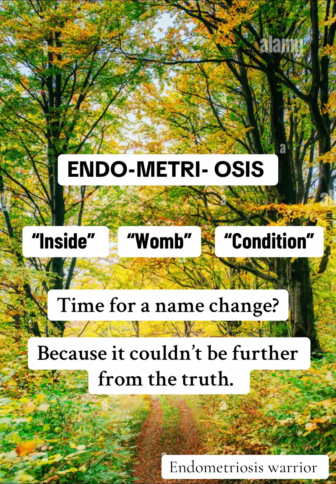 #endometriosis #nhsuk #foryoupage❤️❤️ #wholebodydisease #chronicillness #chronicpain #diseases #invisibleillness #dontgiveup #makechanges 