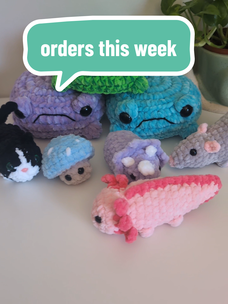 Orders this week and where they're going! Just dropped these off at this post office this morning ❤️ -- #crochetplushieshop #smallcrochetplushies #cubiecrochet 