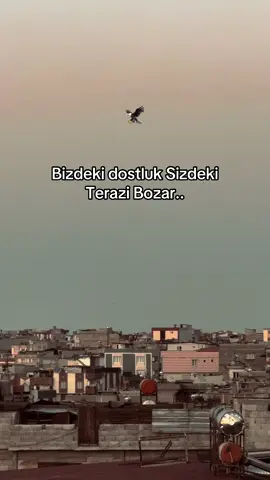 🦅#keşfet #mustafa_aksam #gaziantepprovince #storytime #keşfett #günbatımı #kürtçeşarkılar 