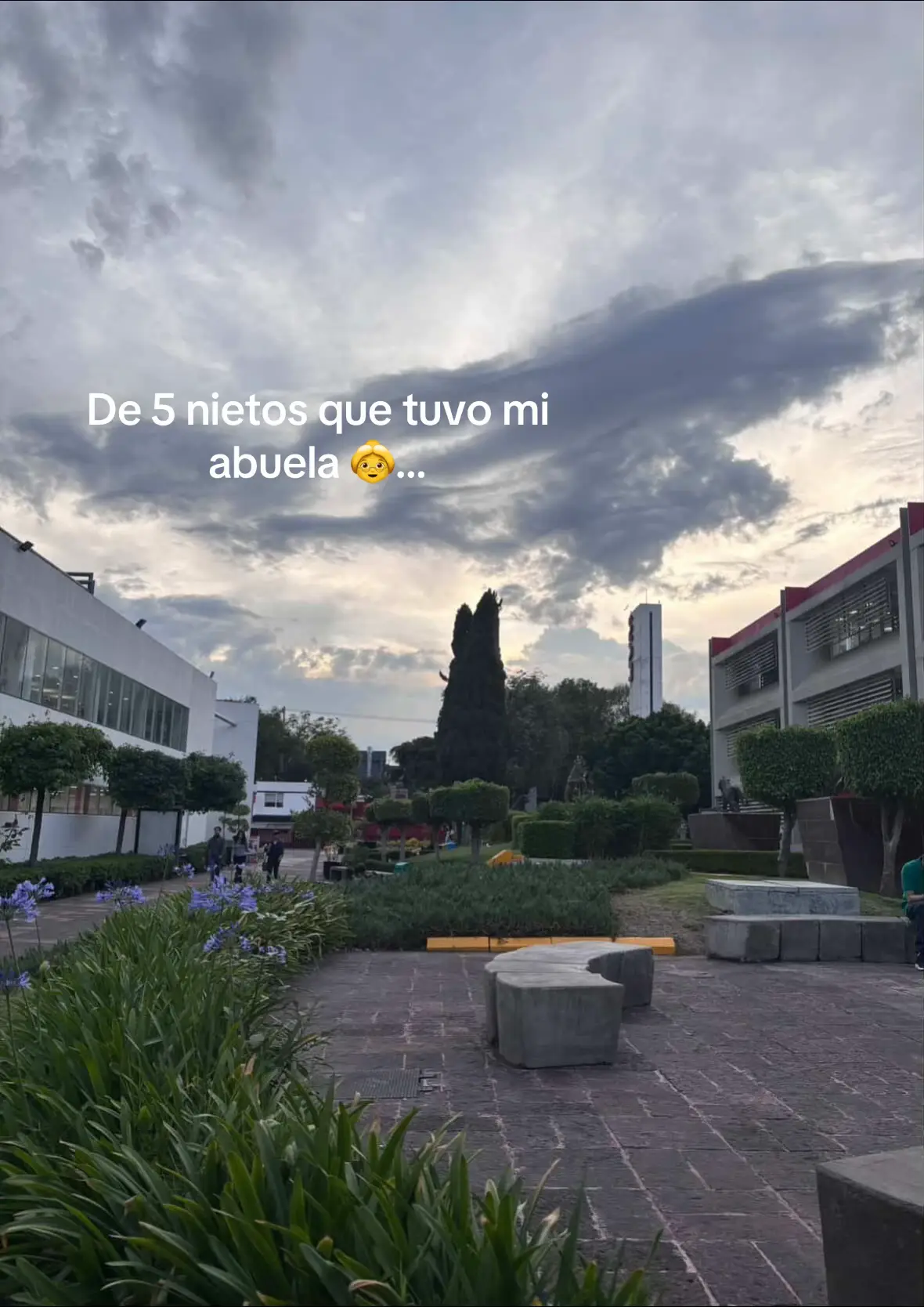 #lamerapuntadeltren 🤭😌