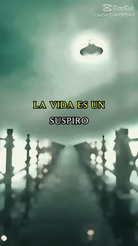 #sandiego #adondevaelviento #lavida #elsuspiro #cuentame #julietavenegas #california 