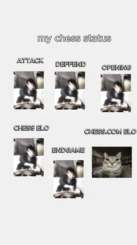 my chess status @zenox🇳🇵 #edit #chess #magnuscarlsen #chesstok #شطرنج #blowthisup #fyp