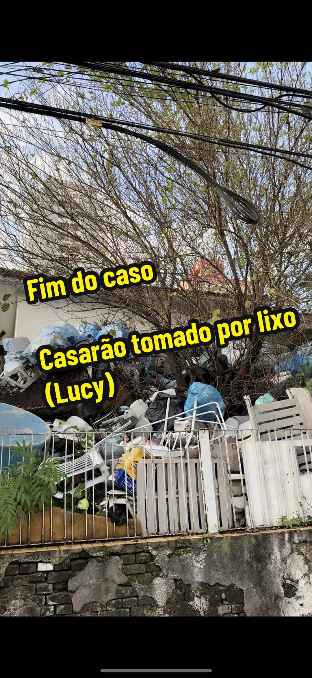 Fim…. 💔 #diariasdogui #acumuladorescompulsivos #faxina #limpeza #fyp 