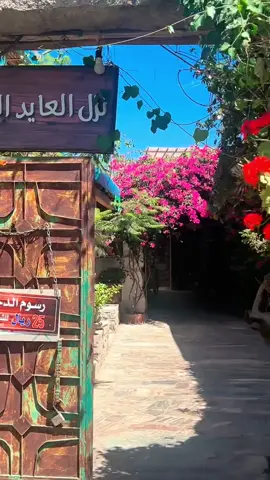 نزل العايد بلجرشي#نزل_العائد #الحمدلله_دائماً_وابداً #الباحه #الجنوب #السعودية #اكسبلور #الشعب_الصيني_ماله_حل😂😂😂 