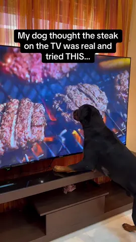 He really tried to lick the screen 😭🍔 #RoadTo18M #Pubity  (Odin_the_rottieu via ViralHog)