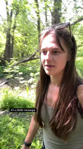 Love the sounds of nature 😌 #hikewithme #Hiking #statepark #outdoorsygals #hiketok #hike 