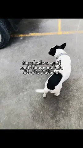#เธรด #fyp #ฟีดดดシ 
