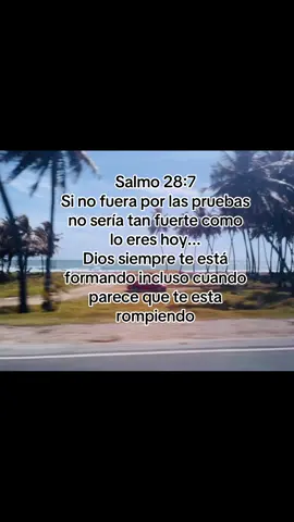 #amén🙏⚘ 