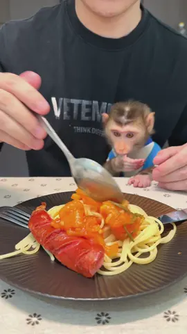 How to make spaghetti for my monkey  #bibi #pets #monkey 