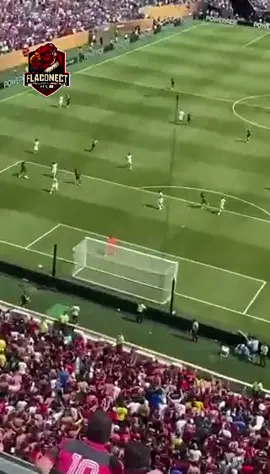 Isso é ser FLAMENGO, isso é sentir a emoção de ser RUBRO-NEGRO !! Vamos pra mais.. Tudo nosso, nada deles. Botamos os ingleses na roda. 🔴⚫️  #Flamengonosupermundial #Flamengo3x1Chelsea .. 