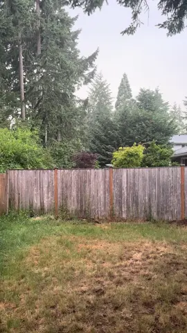 #rain #rainyday #pnw #pnwlife #pnwonderland #washington #hoahoahoa #fyp #howyoulikingtheraingirl #glitter #cullen 