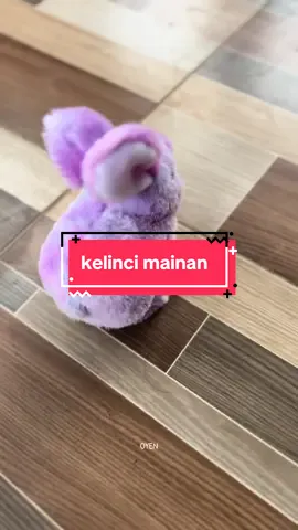#kelincimainan 