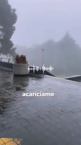 #acariciame #belinda #musica #amor #cariño #paratiiiiiiiiiiiiiiiiiiiiiiiiiiiiiii 
